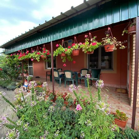 Sud ,,Antal I Olga,, Skorenovac Exterior foto