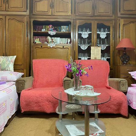 Sud ,,Antal I Olga,, Skorenovac Quarto foto