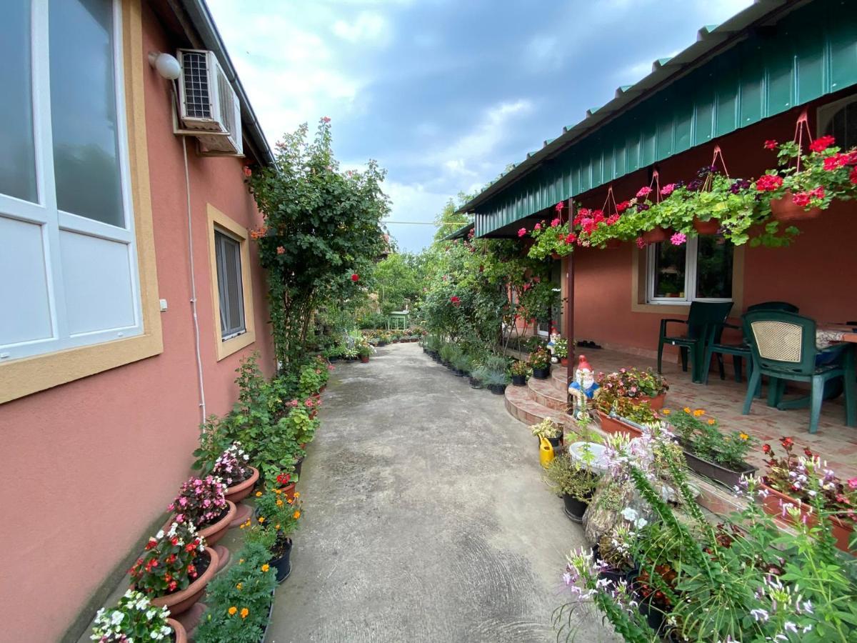 Sud ,,Antal I Olga,, Skorenovac Exterior foto