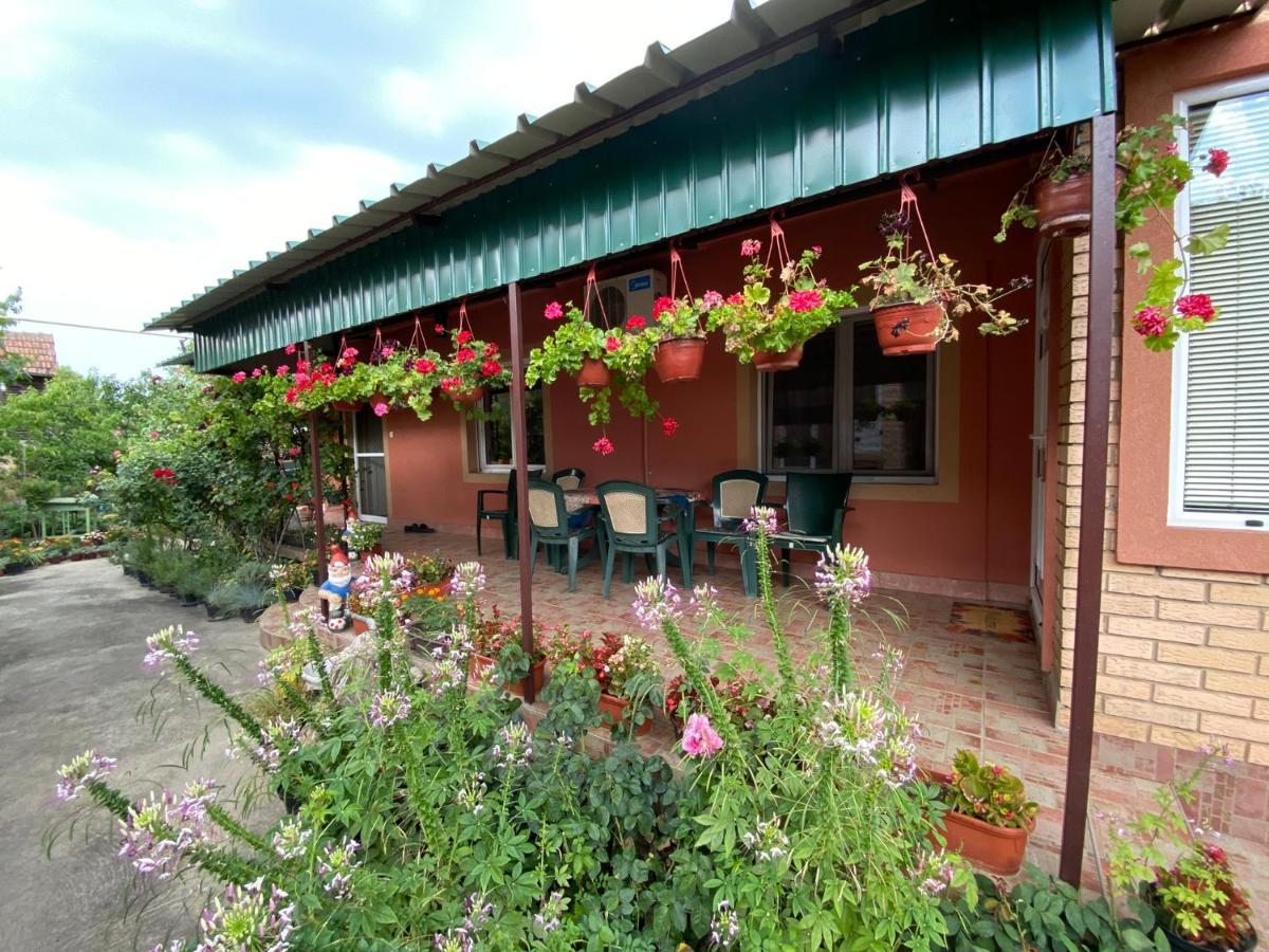 Sud ,,Antal I Olga,, Skorenovac Exterior foto