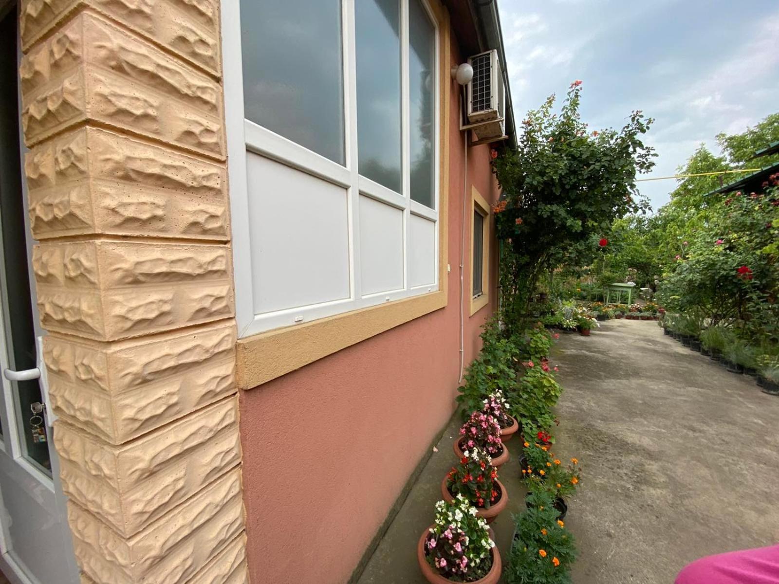 Sud ,,Antal I Olga,, Skorenovac Quarto foto